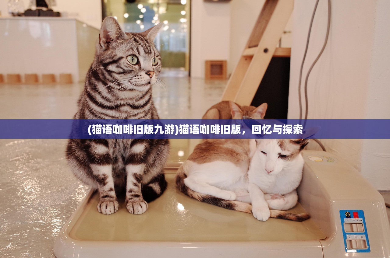 (猫语咖啡旧版九游)猫语咖啡旧版，回忆与探索