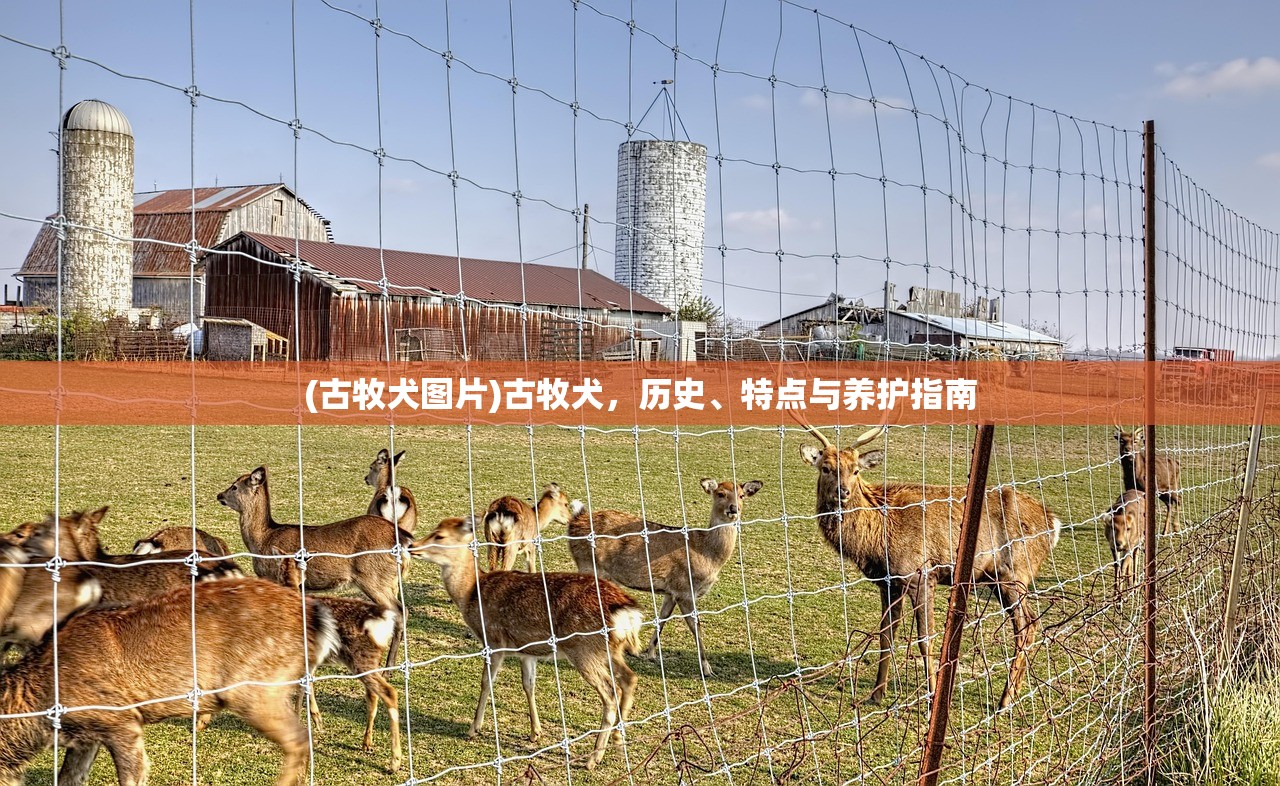 (狂点妖妖灵手游下载)狂点妖妖灵手游，深入探索与独特体验