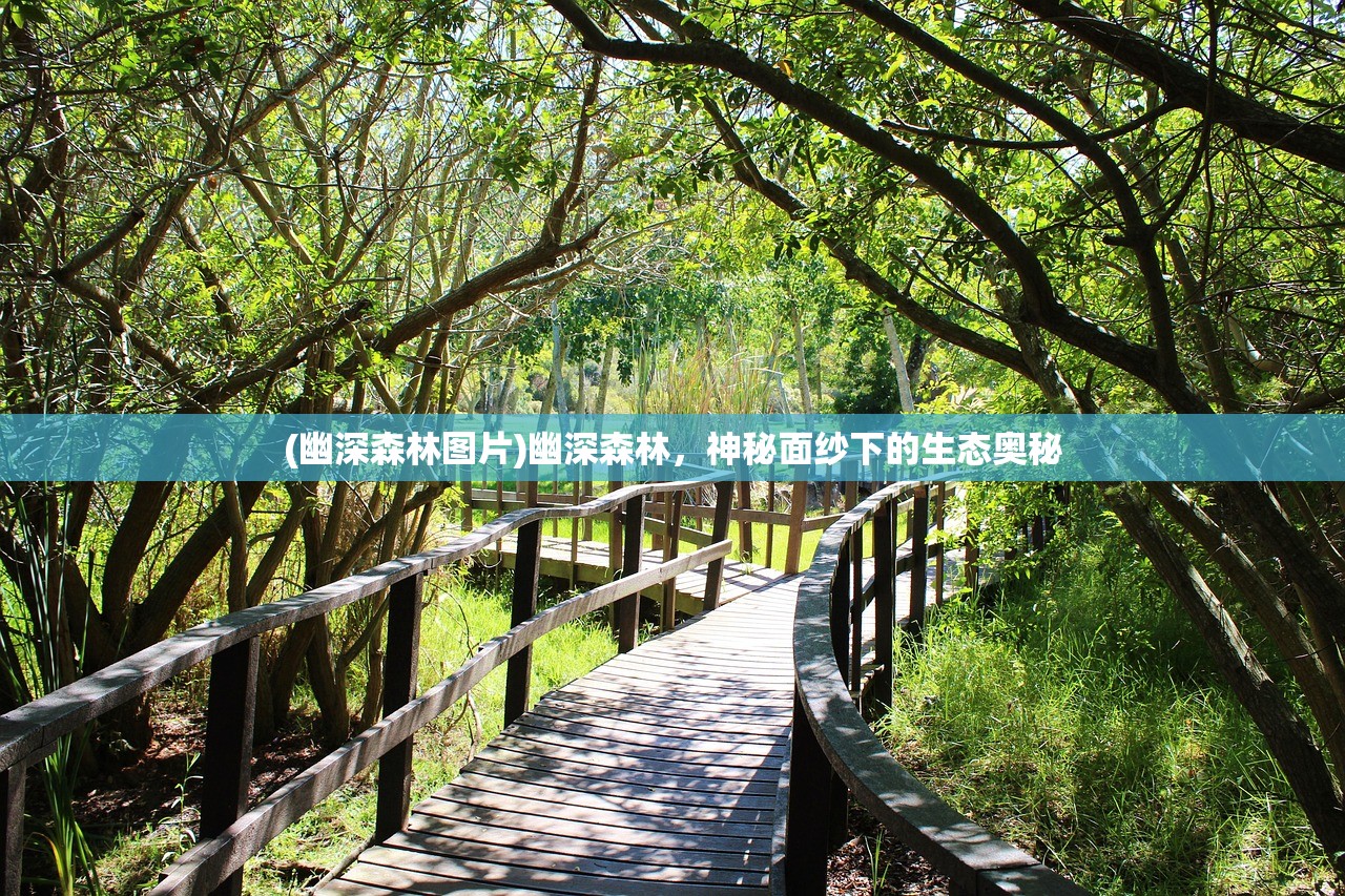 (千鸟飞绝玩法攻略介绍)千鸟飞绝游戏无法运行问题解析与解决策略