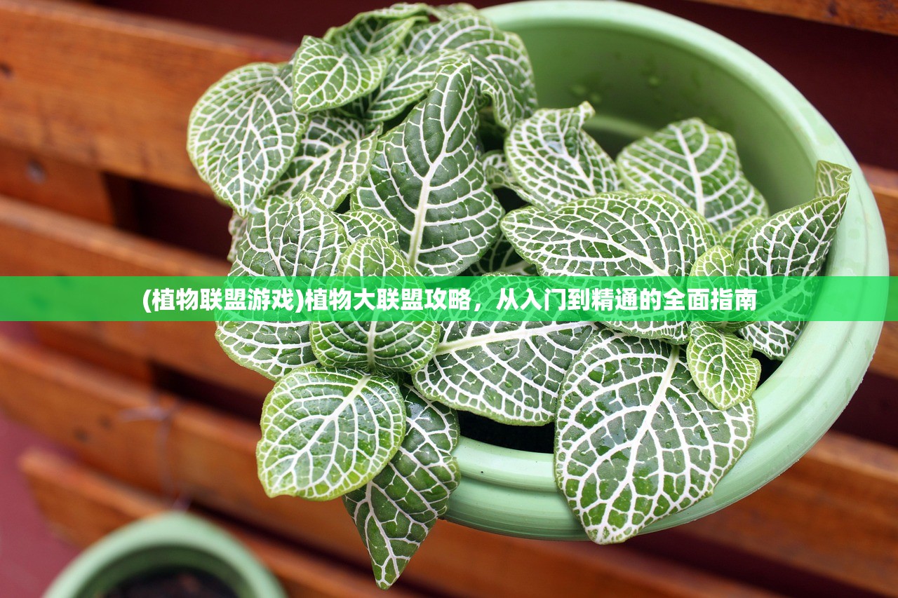 (植物联盟游戏)植物大联盟攻略，从入门到精通的全面指南