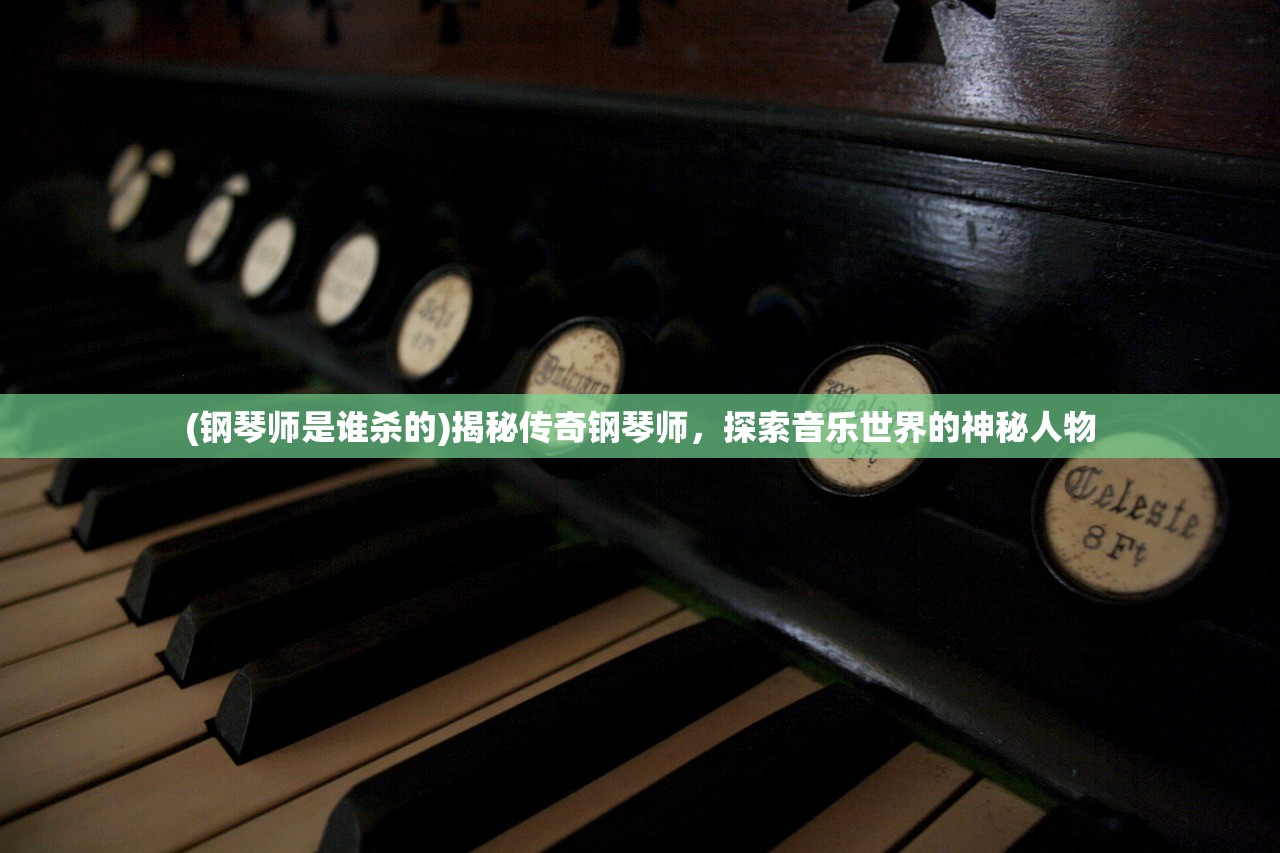 (钢琴师是谁杀的)揭秘传奇钢琴师，探索音乐世界的神秘人物