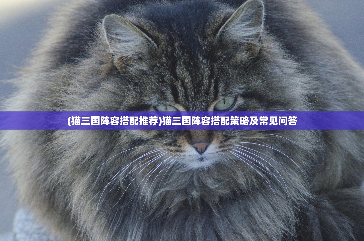 (猫三国阵容搭配推荐)猫三国阵容搭配策略及常见问答