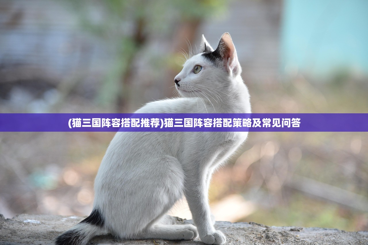 (猫三国阵容搭配推荐)猫三国阵容搭配策略及常见问答