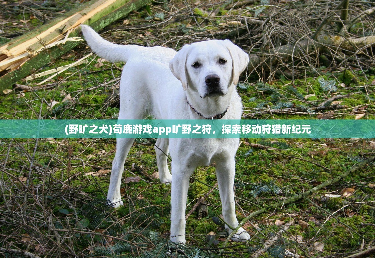 (野旷之犬)荀鹿游戏app旷野之狩，探索移动狩猎新纪元