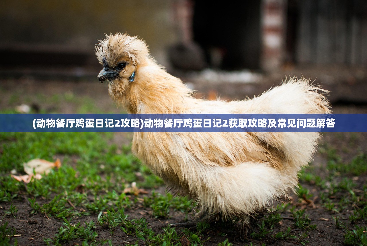 (真命龙王怎么过)真命手游龙域卡怪攻略详解及常见问答（FAQ）