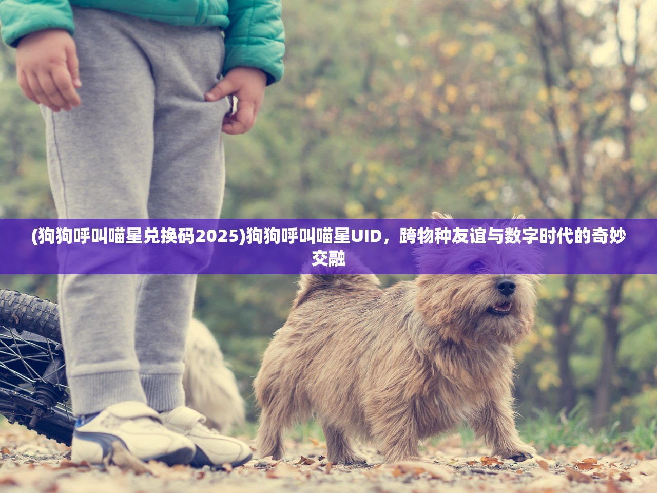 (锦绣罗衣第二章攻略大全)锦绣罗衣第二章攻略详解及常见问题解答