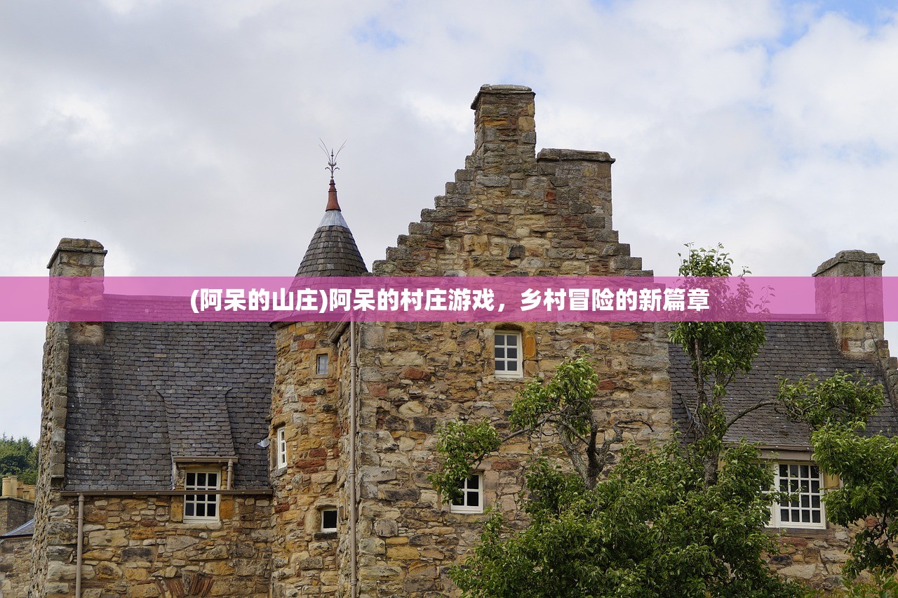 (阿呆的山庄)阿呆的村庄游戏，乡村冒险的新篇章