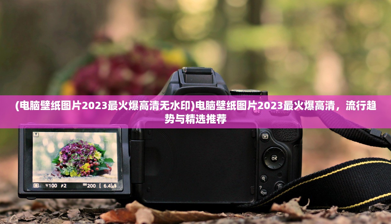 (电脑壁纸图片2023最火爆高清无水印)电脑壁纸图片2023最火爆高清，流行趋势与精选推荐