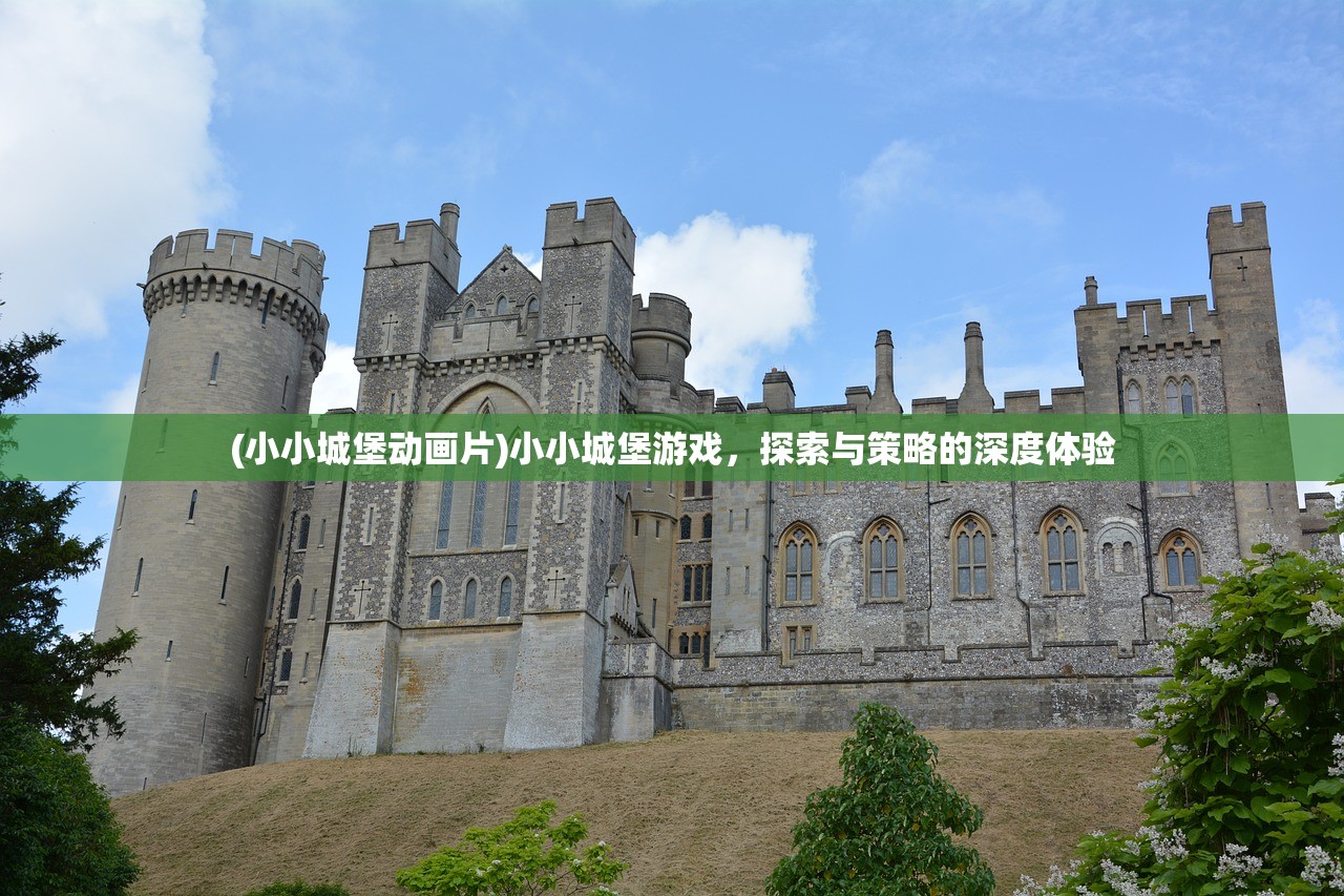 (小小城堡动画片)小小城堡游戏，探索与策略的深度体验
