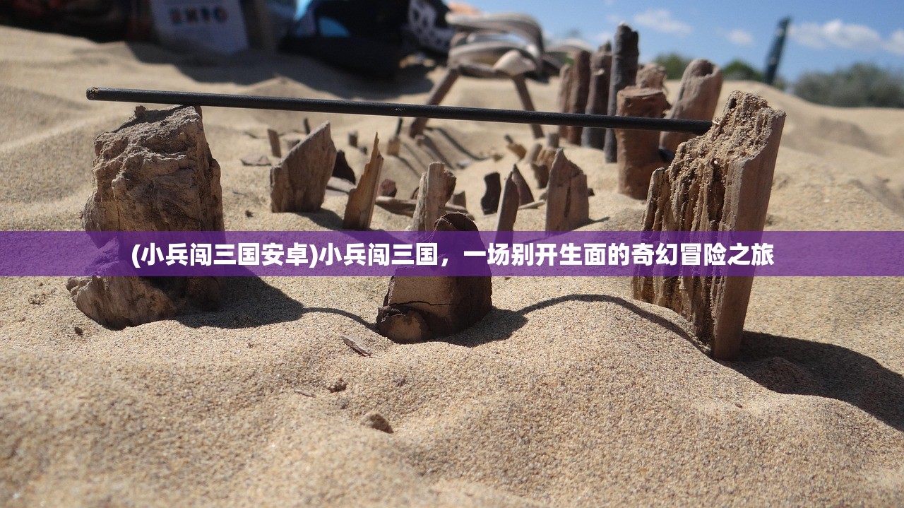 (小兵闯三国安卓)小兵闯三国，一场别开生面的奇幻冒险之旅