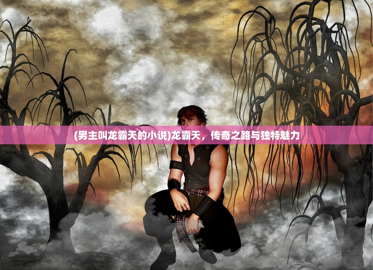 (男主叫龙霸天的小说)龙霸天，传奇之路与独特魅力
