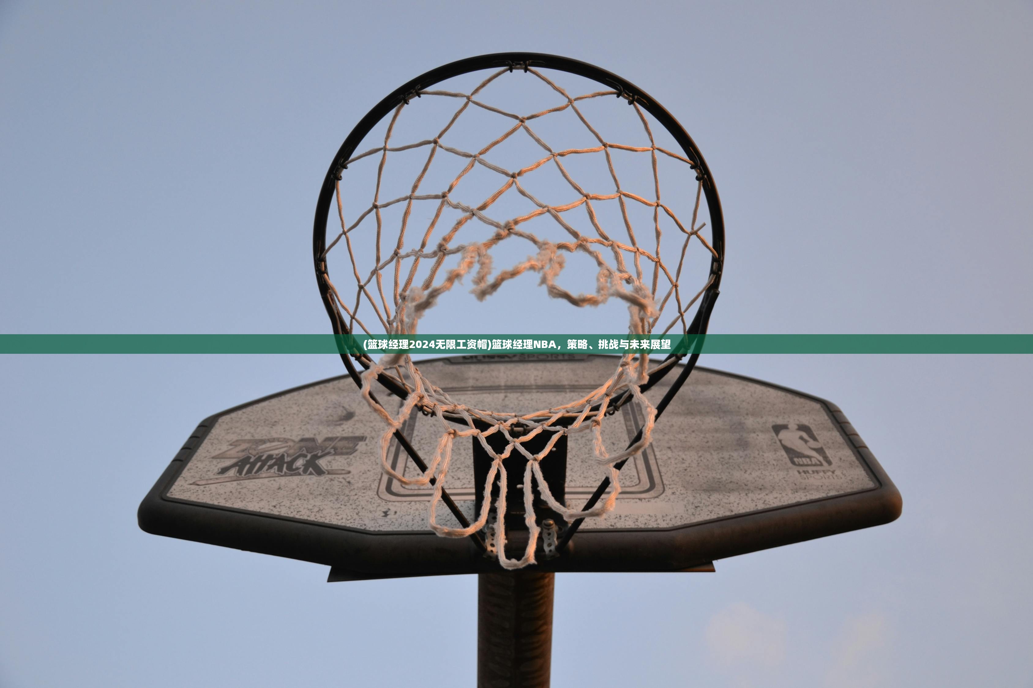 (篮球经理2024无限工资帽)篮球经理NBA，策略、挑战与未来展望