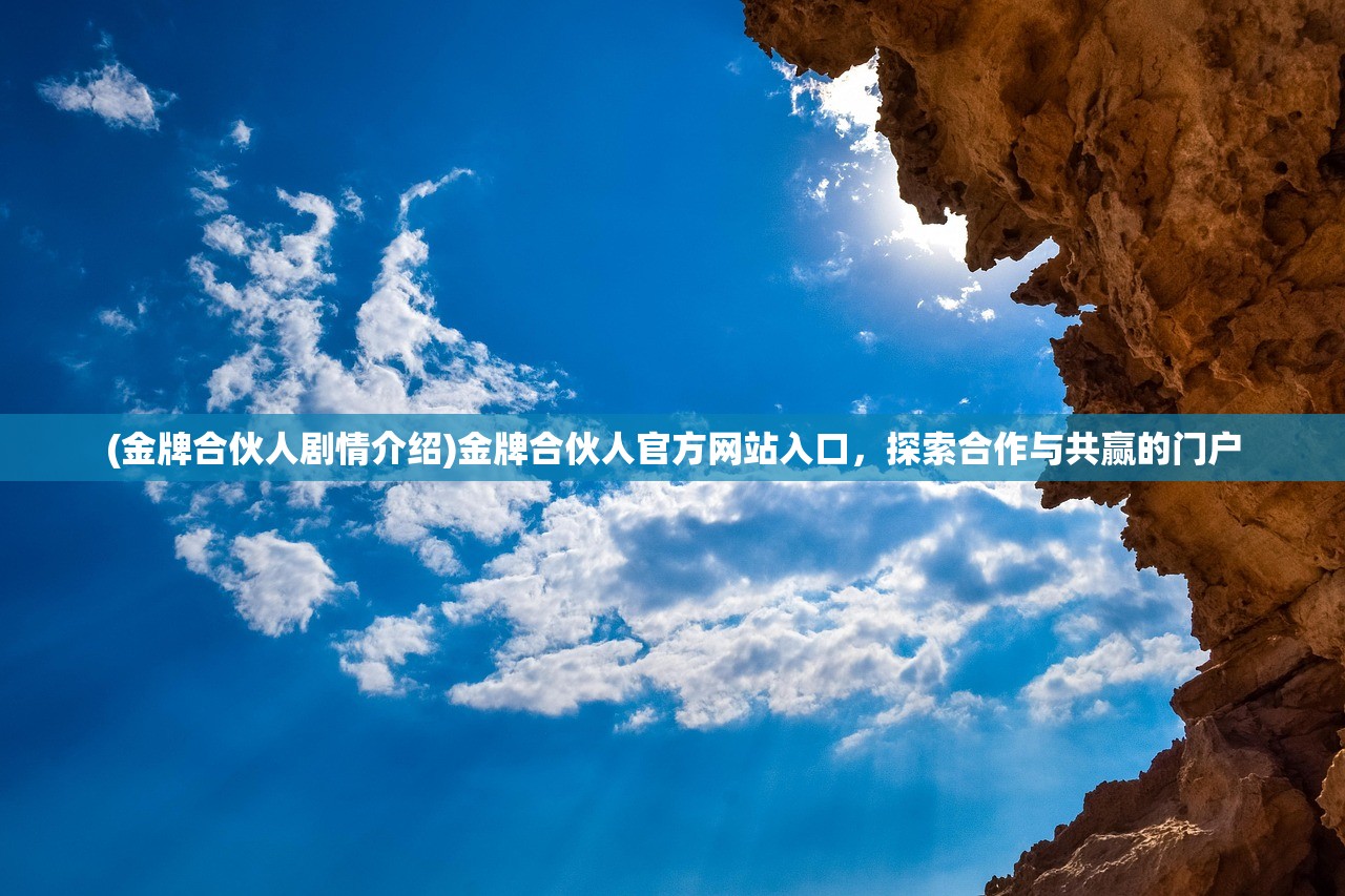 (金牌合伙人剧情介绍)金牌合伙人官方网站入口，探索合作与共赢的门户