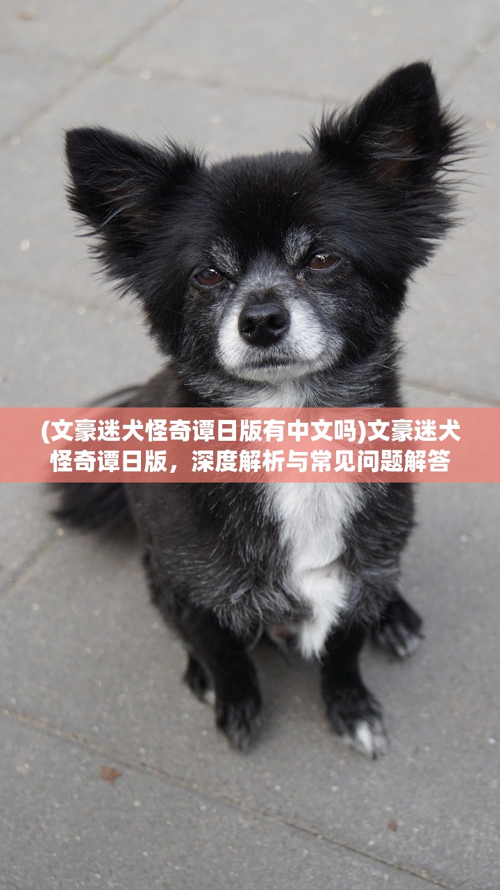 (文豪迷犬怪奇谭日版有中文吗)文豪迷犬怪奇谭日版，深度解析与常见问题解答