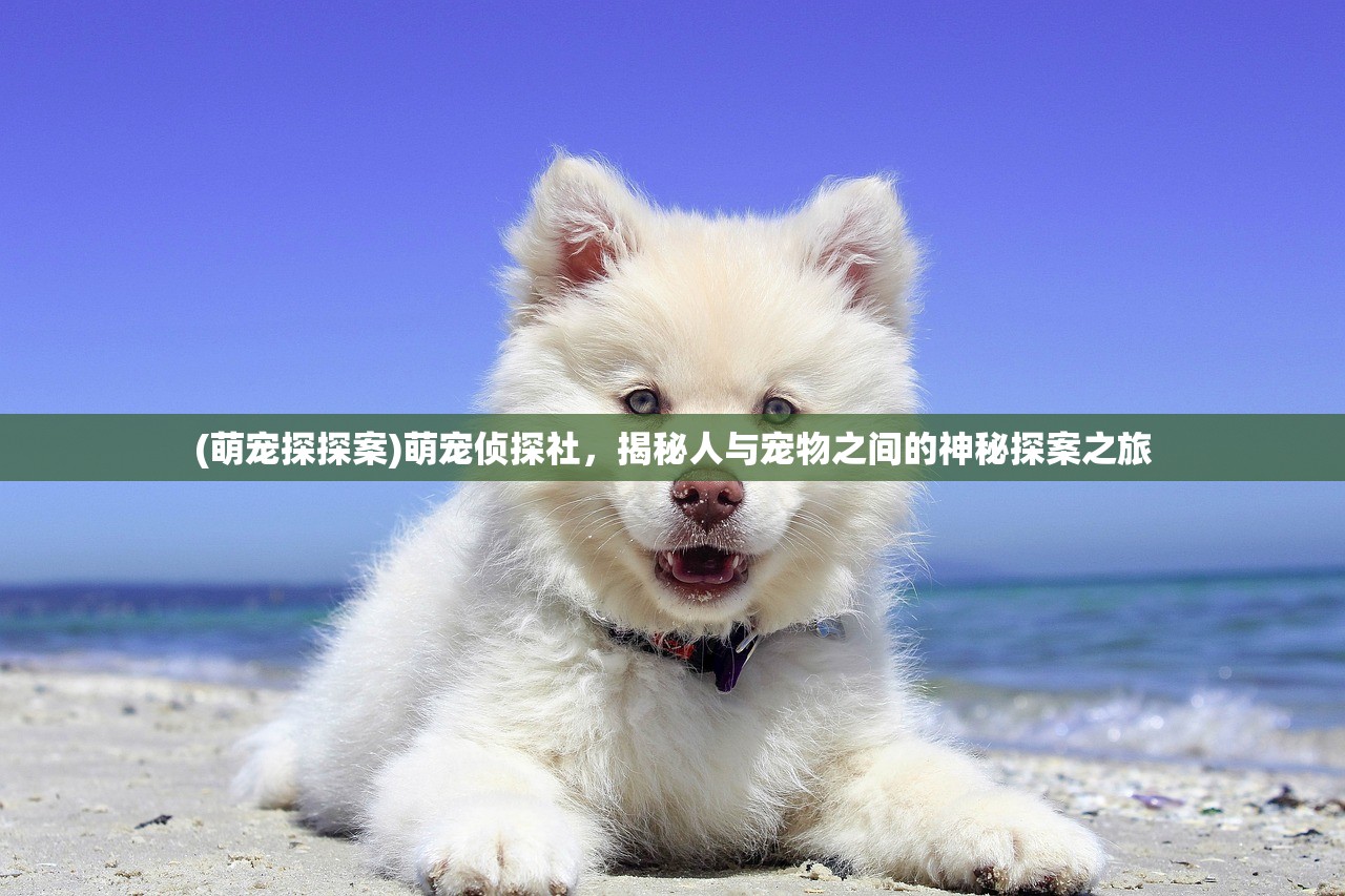 (萌宠探探案)萌宠侦探社，揭秘人与宠物之间的神秘探案之旅