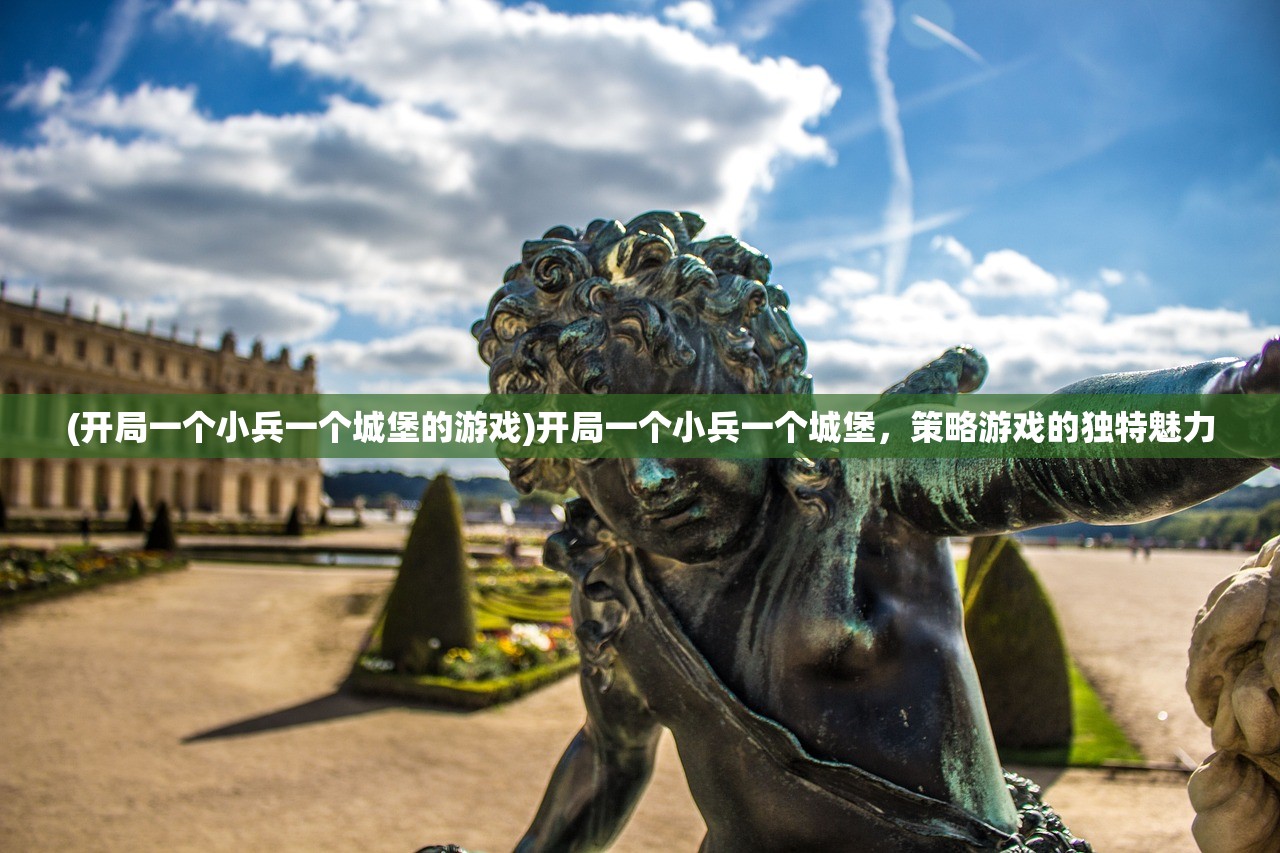 (开局一个小兵一个城堡的游戏)开局一个小兵一个城堡，策略游戏的独特魅力