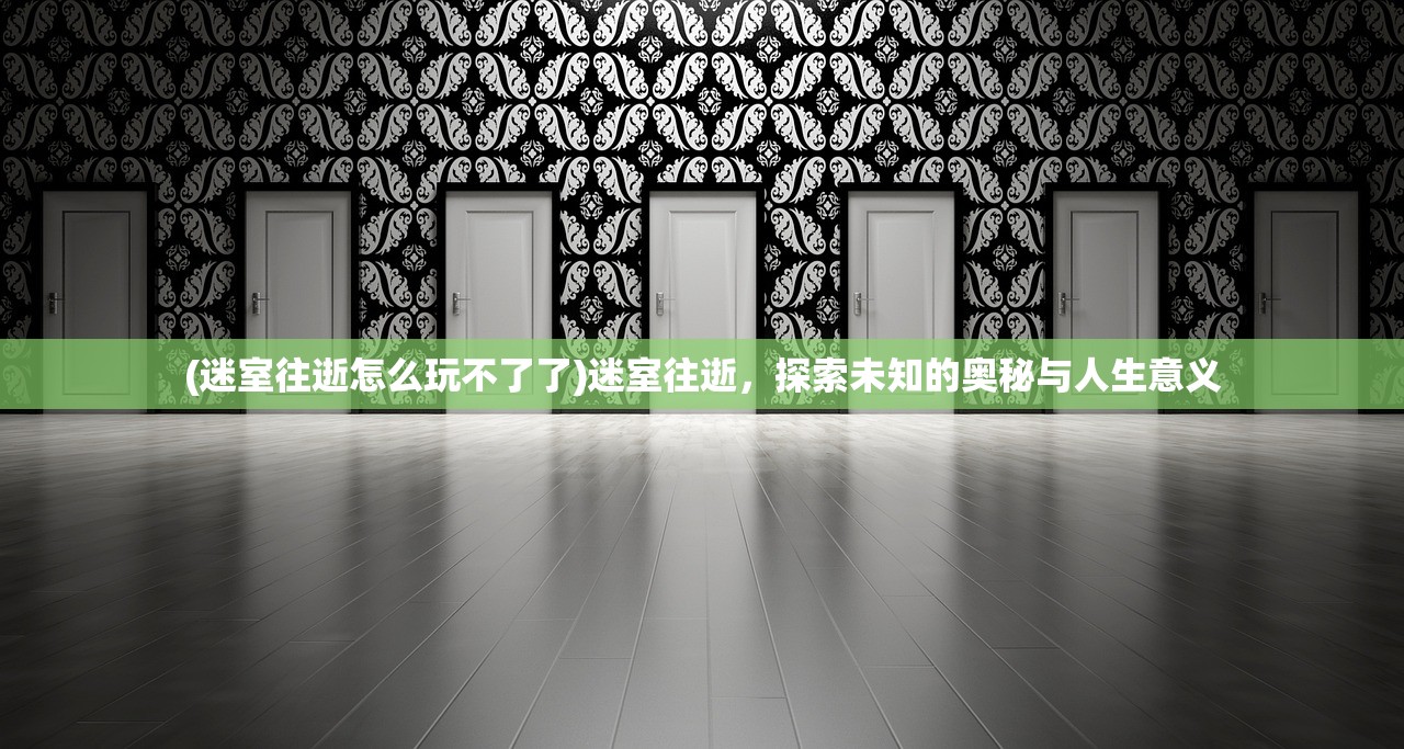 (迷室往逝怎么玩不了了)迷室往逝，探索未知的奥秘与人生意义