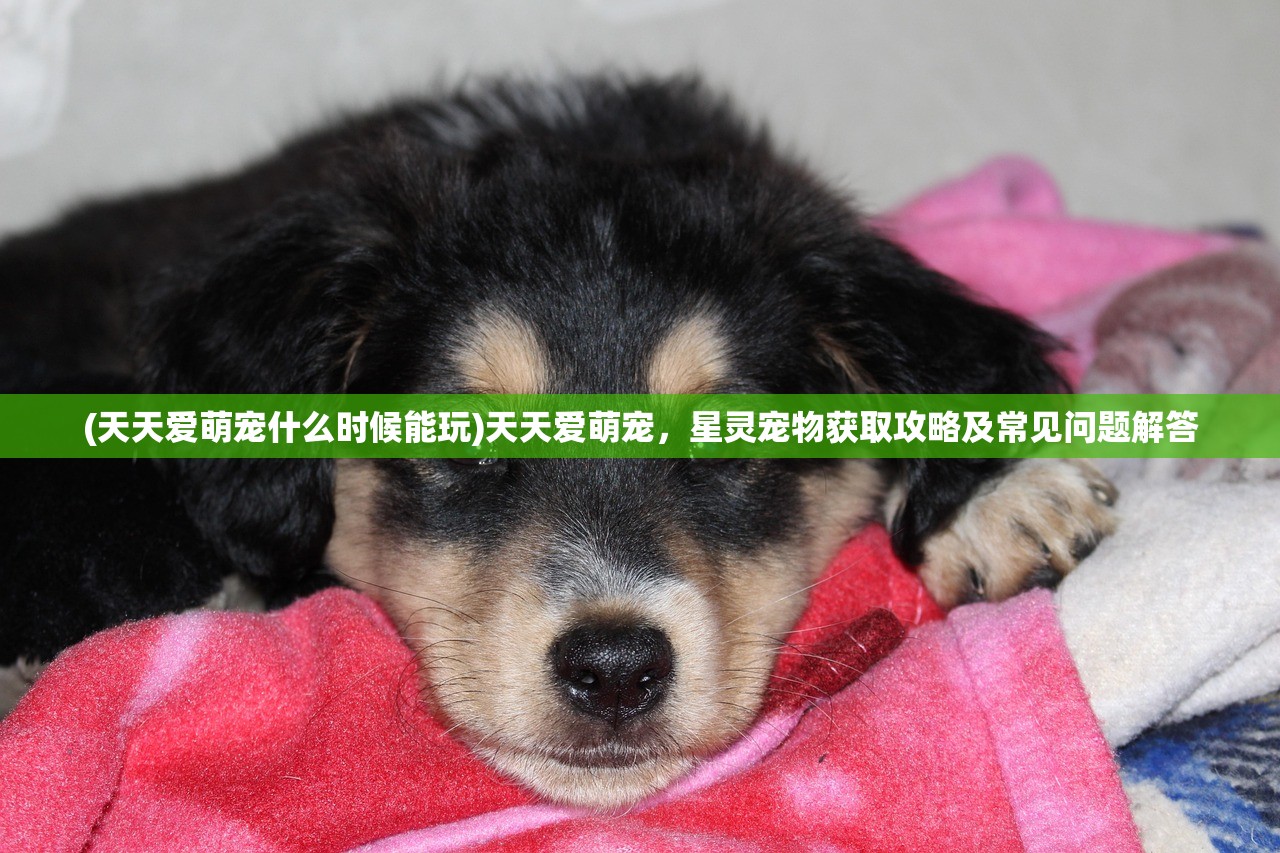 (天天爱萌宠什么时候能玩)天天爱萌宠，星灵宠物获取攻略及常见问题解答