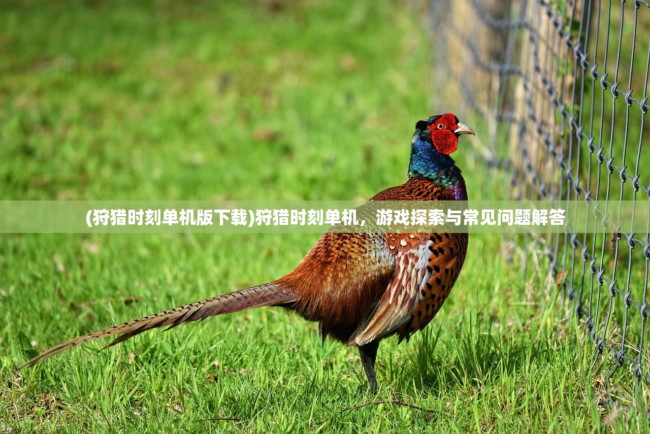 (狩猎时刻单机版下载)狩猎时刻单机，游戏探索与常见问题解答