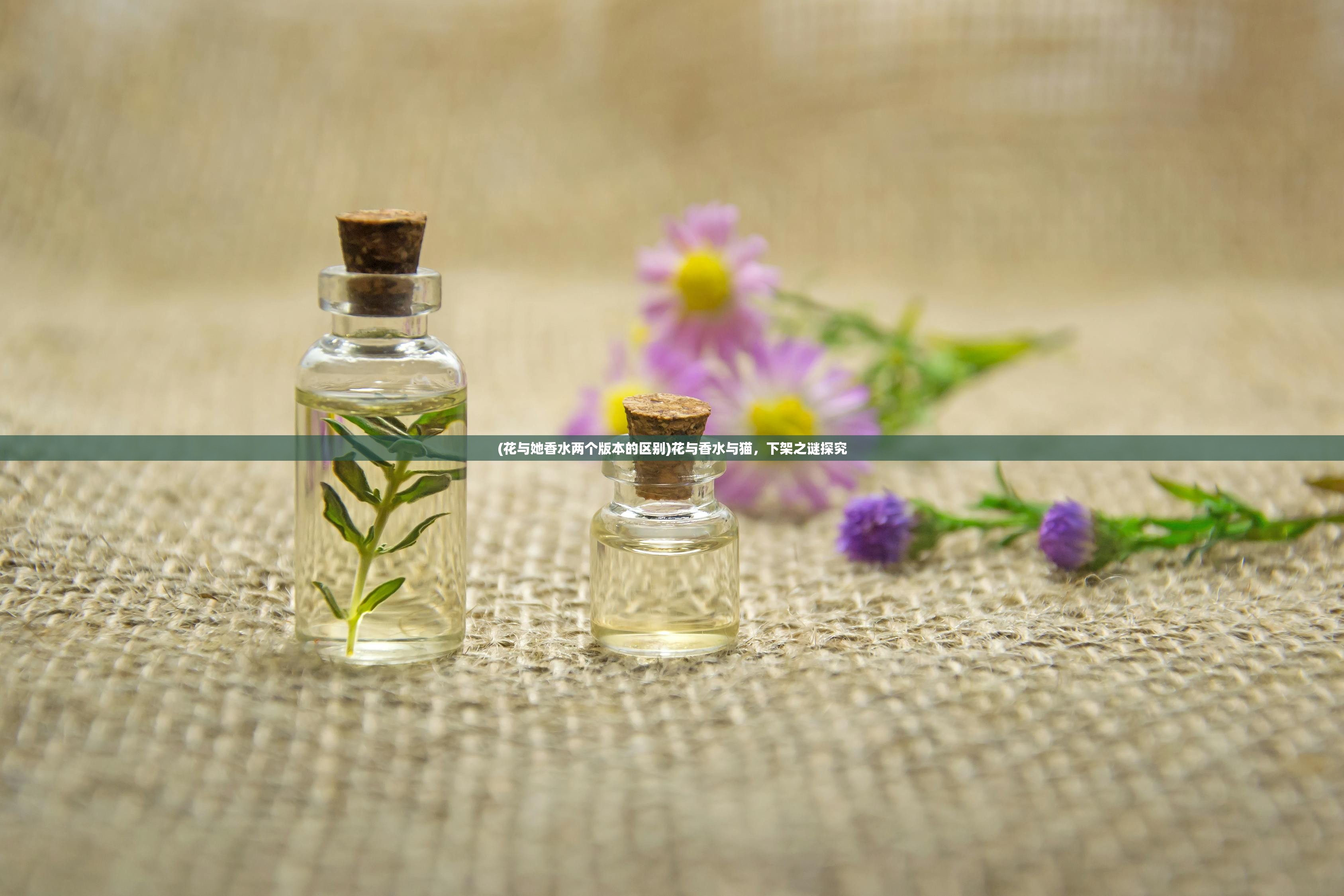 (花与她香水两个版本的区别)花与香水与猫，下架之谜探究