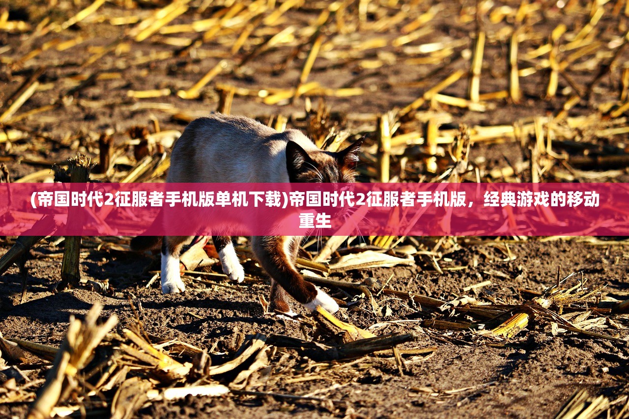 (帝国时代2征服者手机版单机下载)帝国时代2征服者手机版，经典游戏的移动重生