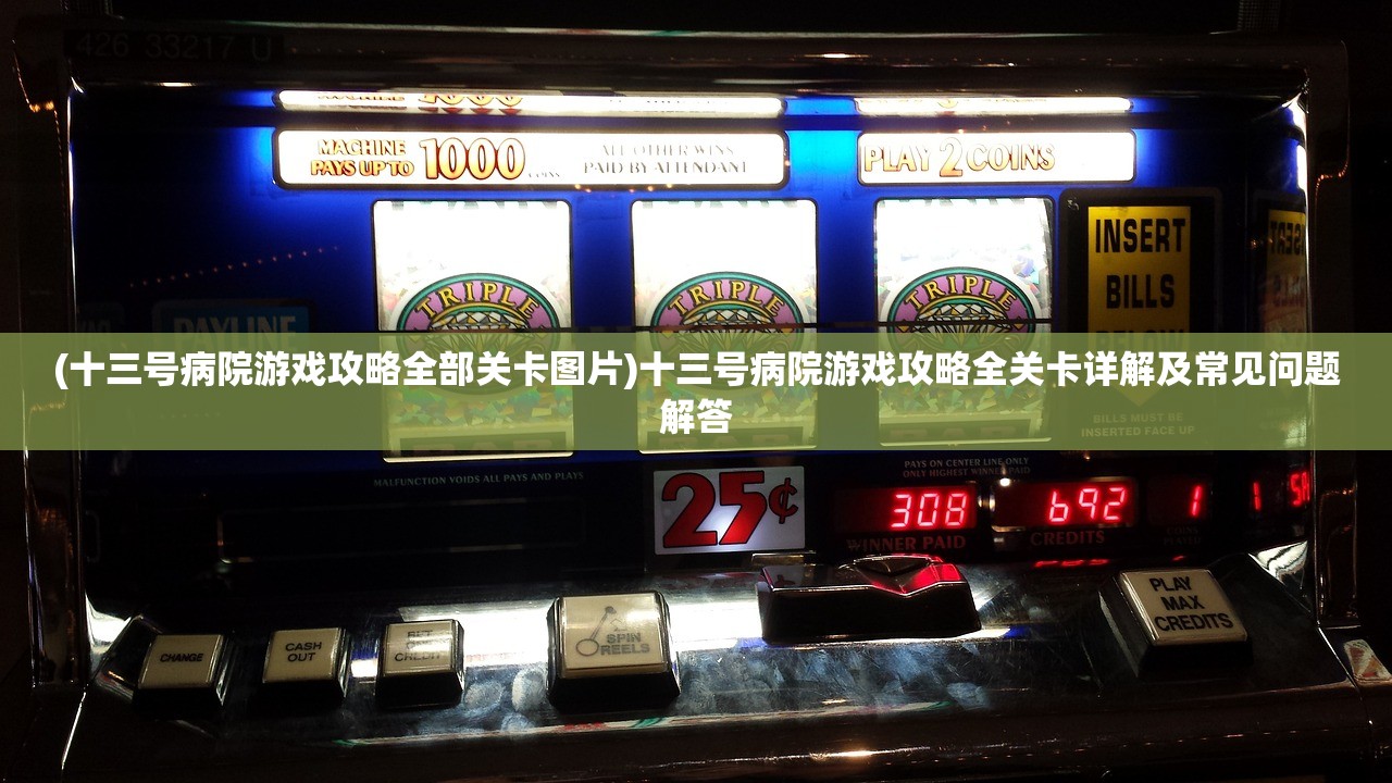(十三号病院游戏攻略全部关卡图片)十三号病院游戏攻略全关卡详解及常见问题解答