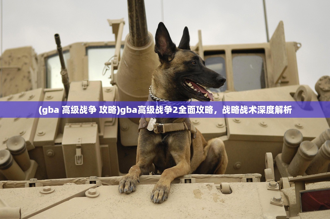 (gba 高级战争 攻略)gba高级战争2全面攻略，战略战术深度解析