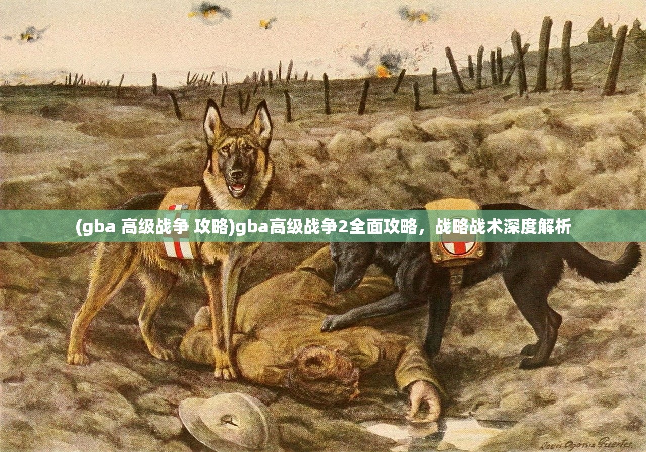 (gba 高级战争 攻略)gba高级战争2全面攻略，战略战术深度解析