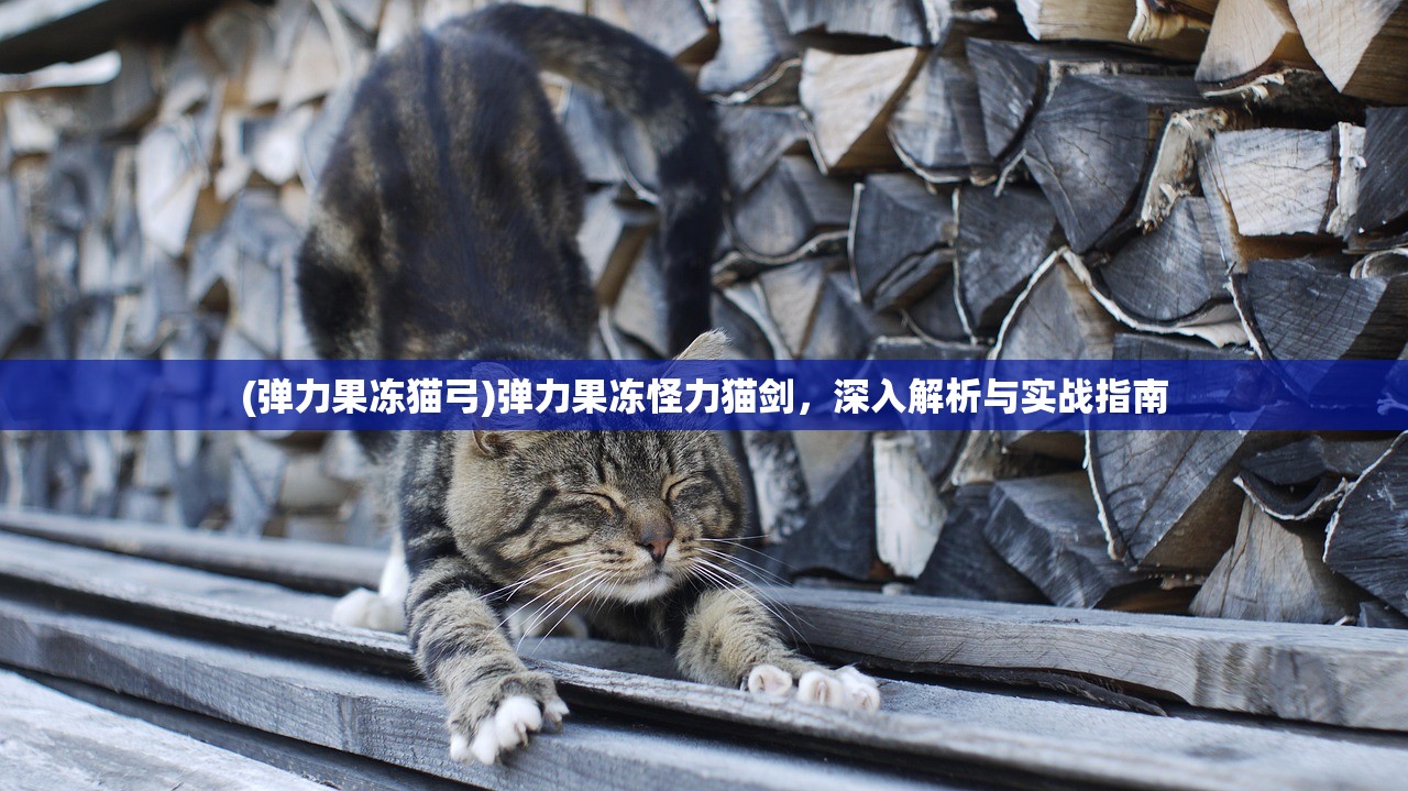 (弹力果冻猫弓)弹力果冻怪力猫剑，深入解析与实战指南