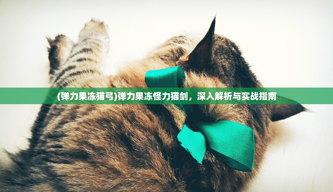 (弹力果冻猫弓)弹力果冻怪力猫剑，深入解析与实战指南