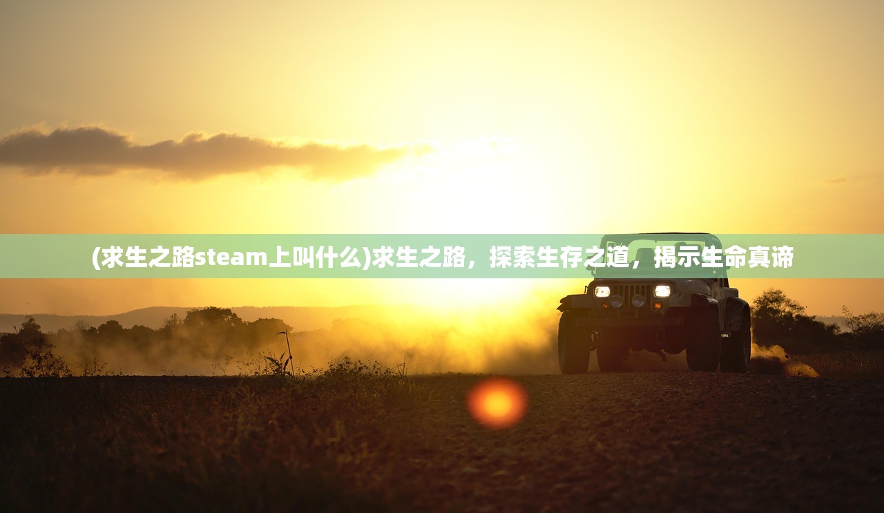 (求生之路steam上叫什么)求生之路，探索生存之道，揭示生命真谛