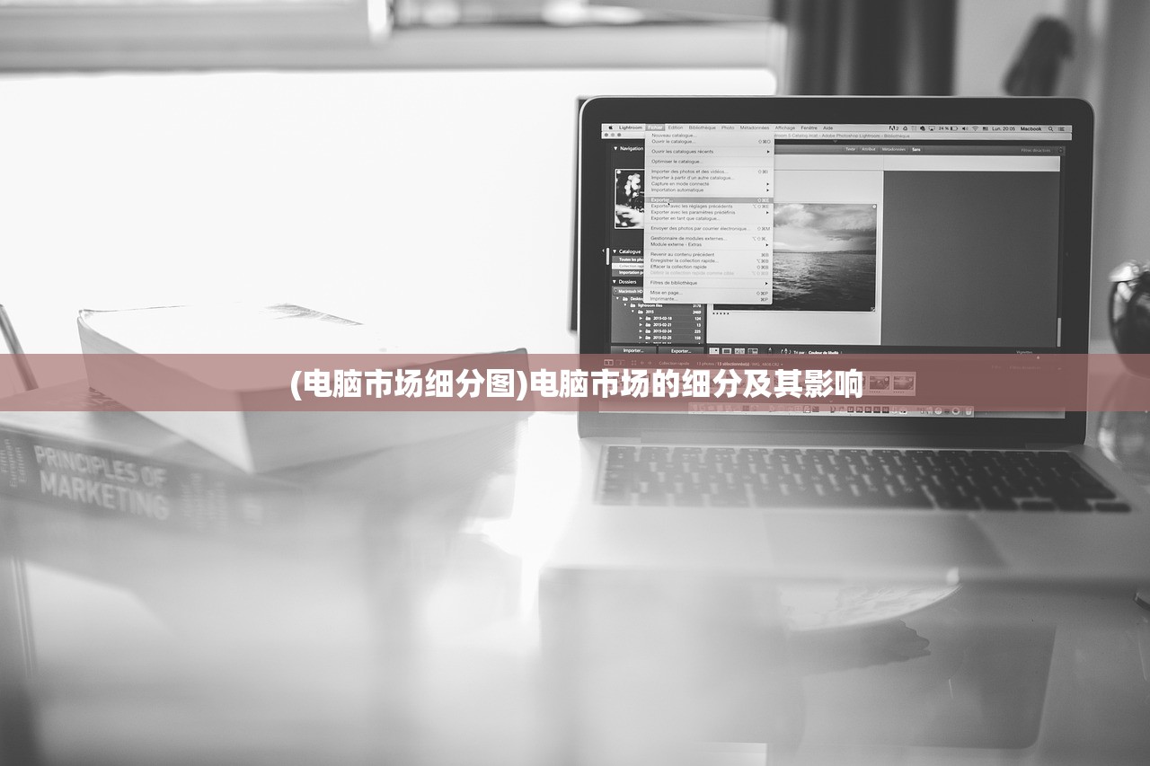 (电脑市场细分图)电脑市场的细分及其影响