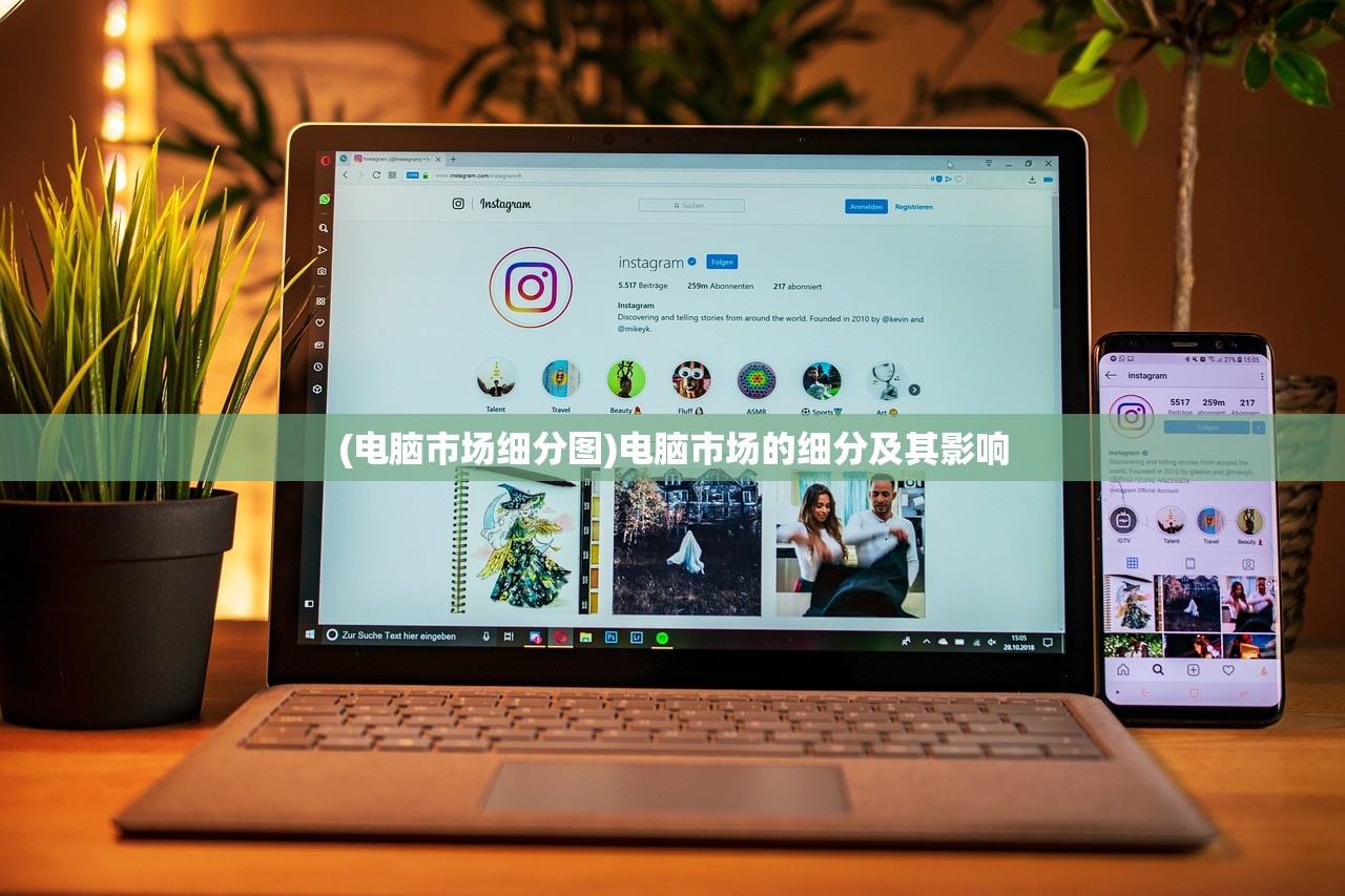 (电脑市场细分图)电脑市场的细分及其影响