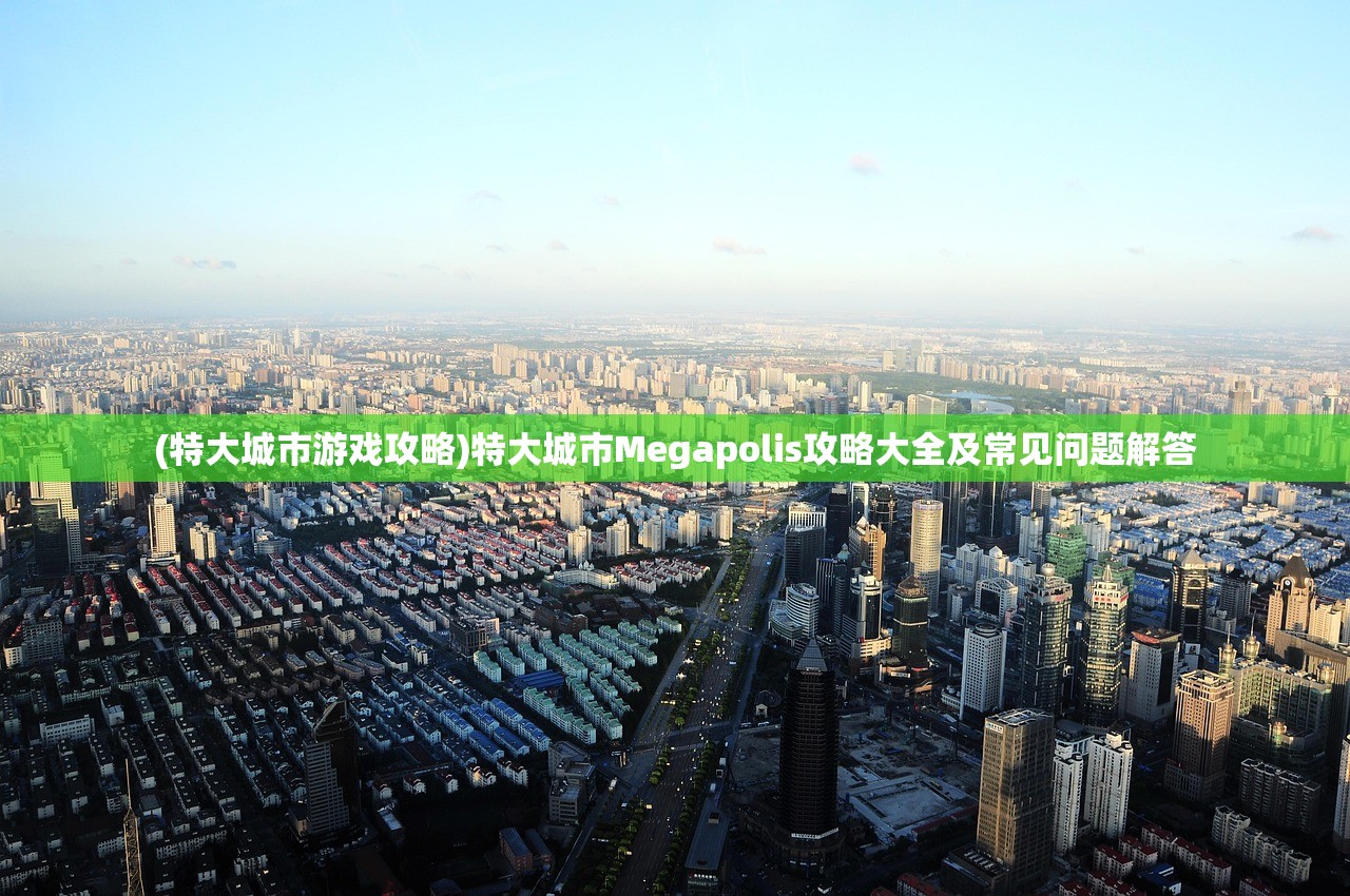 (特大城市游戏攻略)特大城市Megapolis攻略大全及常见问题解答