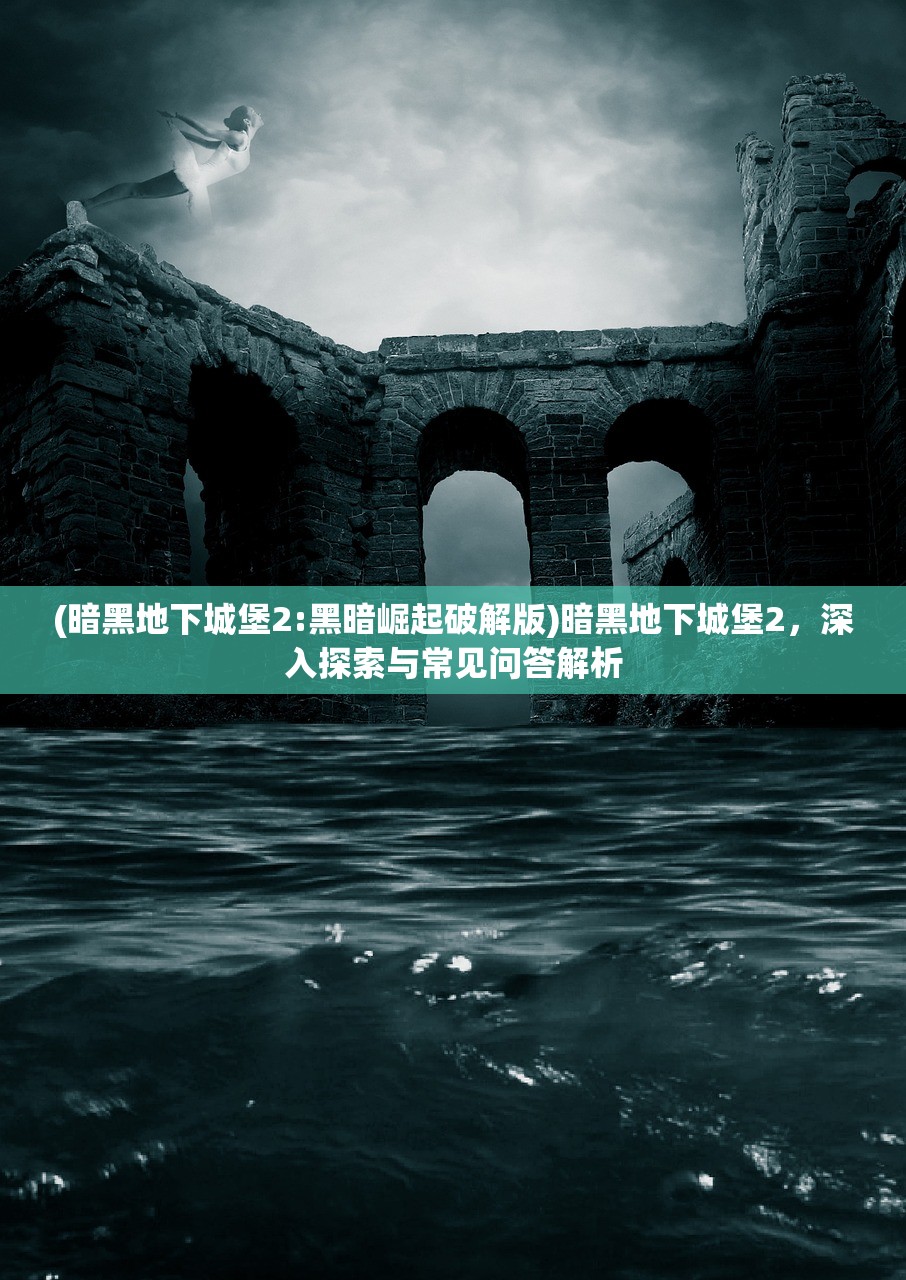 (暗黑地下城堡2:黑暗崛起破解版)暗黑地下城堡2，深入探索与常见问答解析
