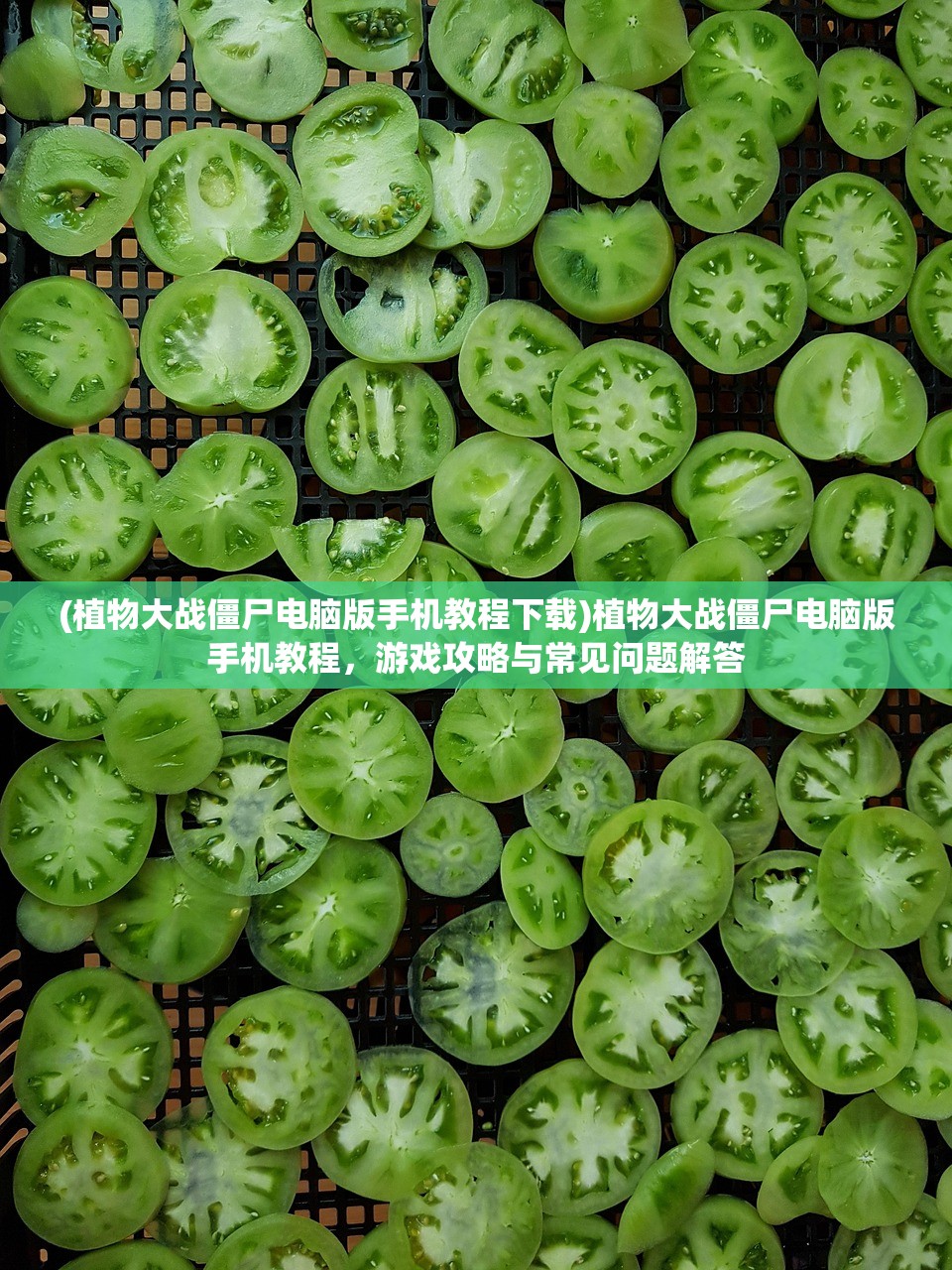 (植物大战僵尸电脑版手机教程下载)植物大战僵尸电脑版手机教程，游戏攻略与常见问题解答