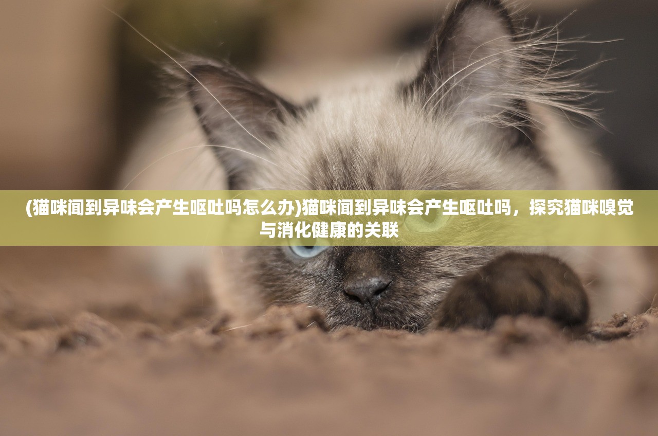 (猫咪闻到异味会产生呕吐吗怎么办)猫咪闻到异味会产生呕吐吗，探究猫咪嗅觉与消化健康的关联