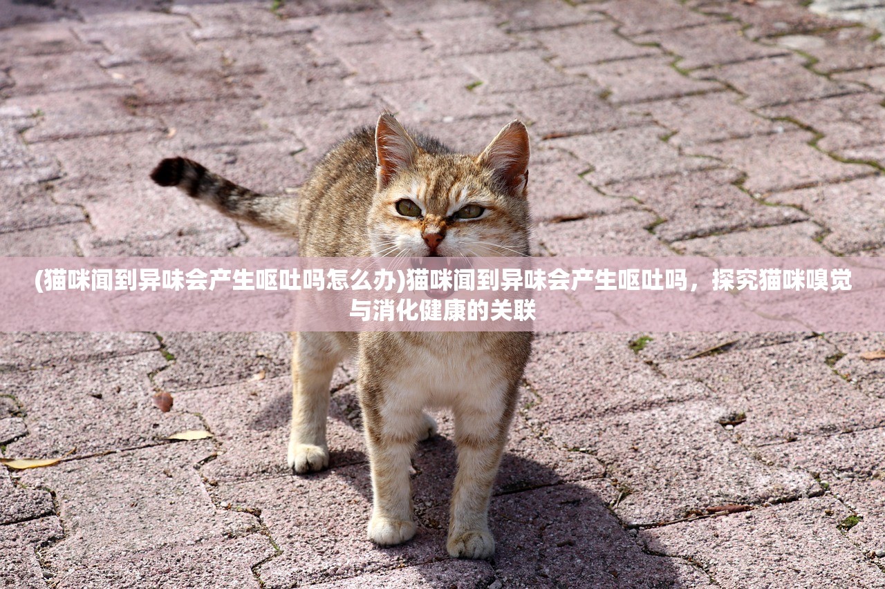 (猫咪闻到异味会产生呕吐吗怎么办)猫咪闻到异味会产生呕吐吗，探究猫咪嗅觉与消化健康的关联