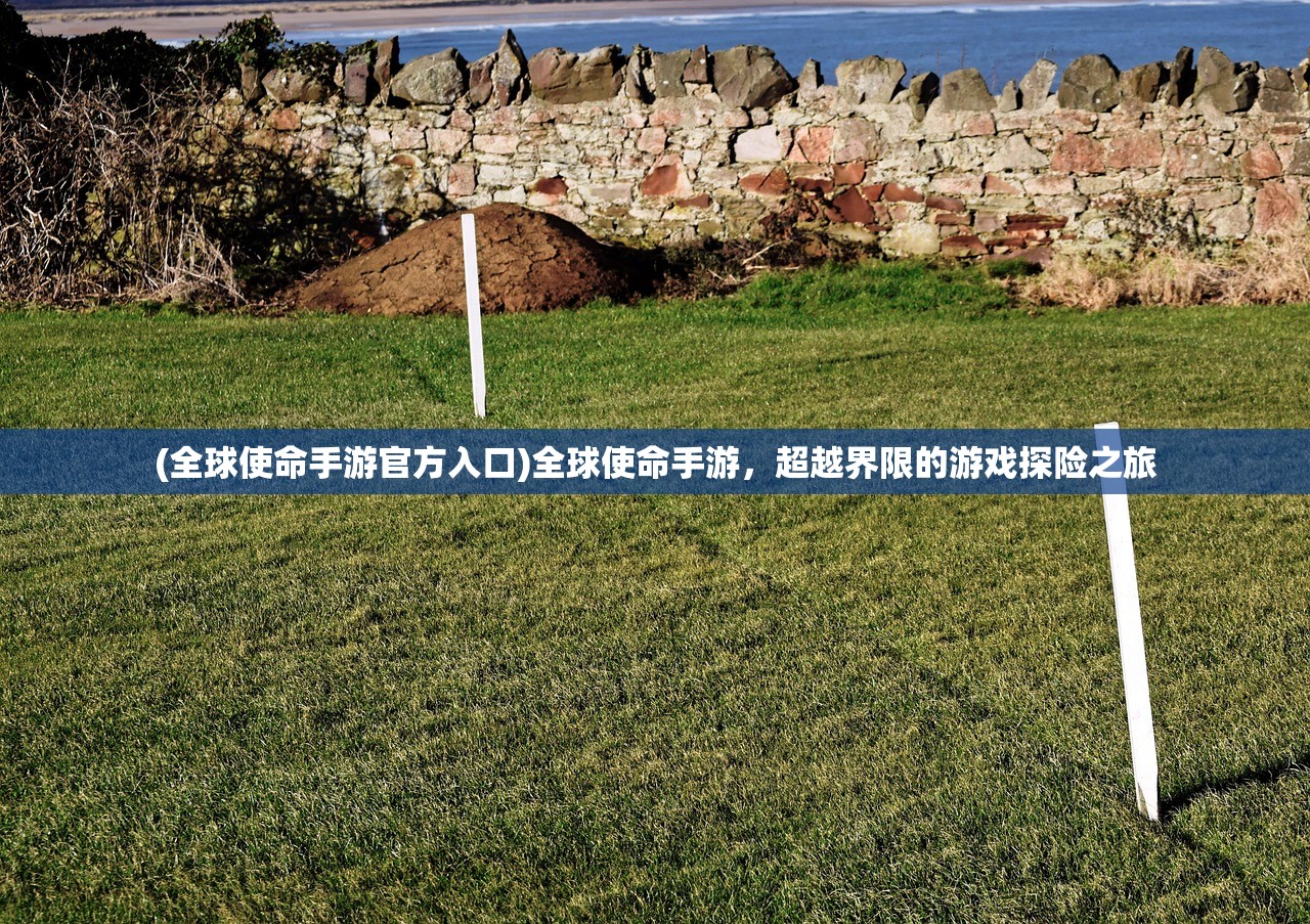 (全球使命手游官方入口)全球使命手游，超越界限的游戏探险之旅