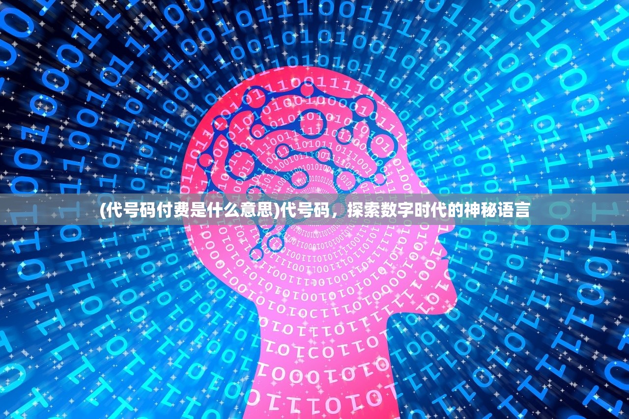 (代号码付费是什么意思)代号码，探索数字时代的神秘语言