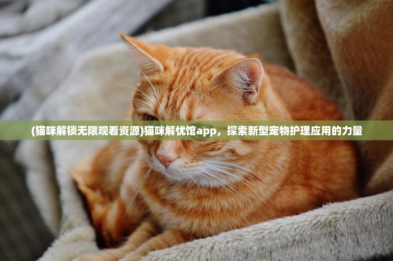 (猫咪解锁无限观看资源)猫咪解忧馆app，探索新型宠物护理应用的力量