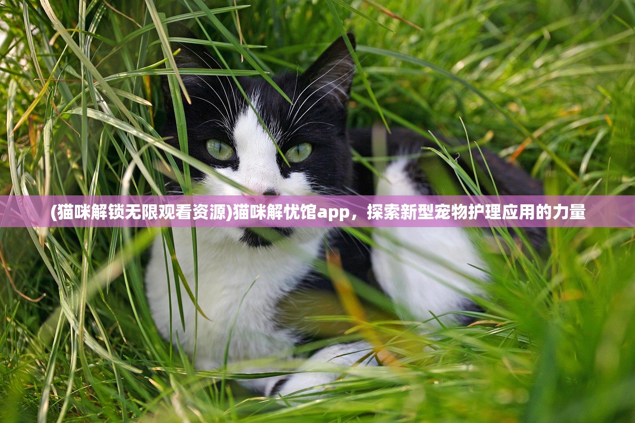 (猫咪解锁无限观看资源)猫咪解忧馆app，探索新型宠物护理应用的力量