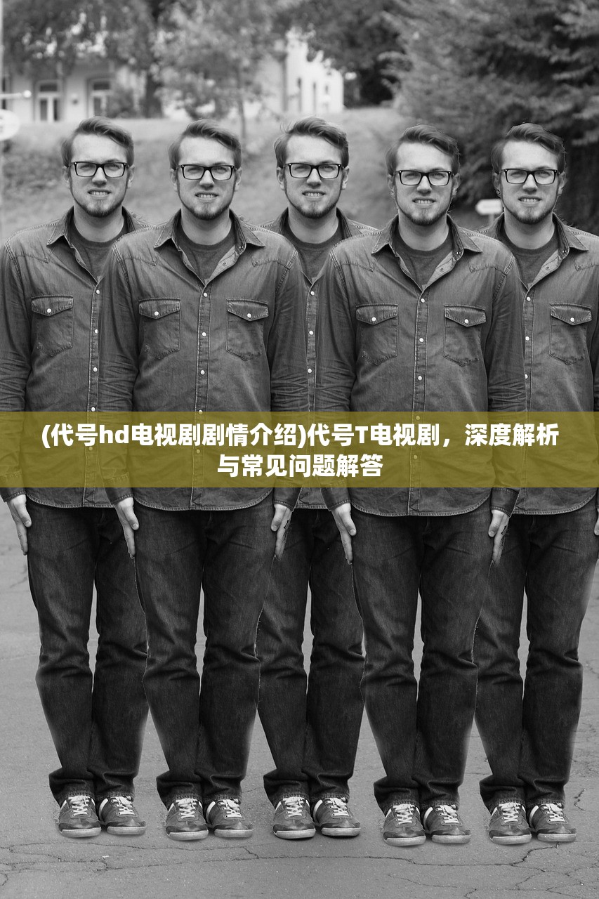 (代号hd电视剧剧情介绍)代号T电视剧，深度解析与常见问题解答