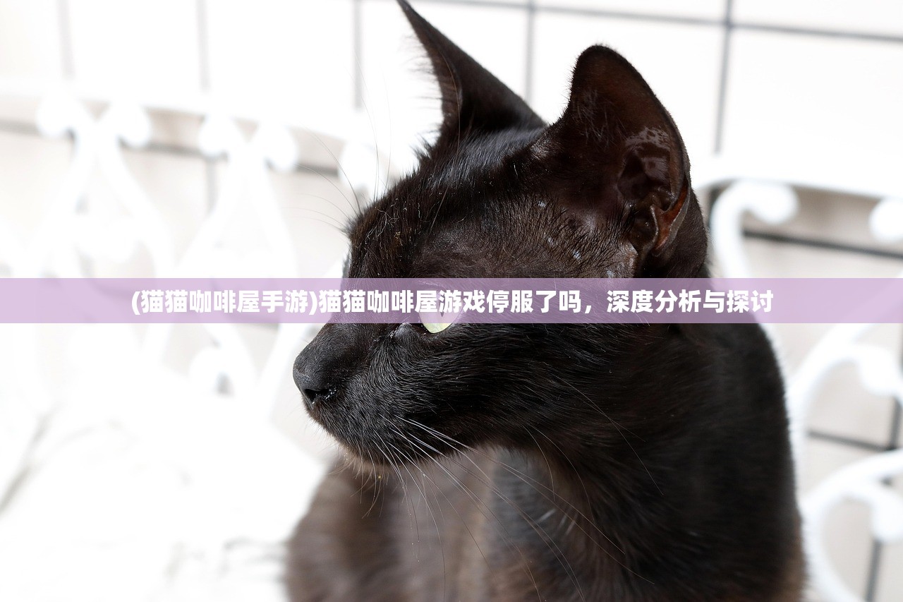 (猫猫咖啡屋手游)猫猫咖啡屋游戏停服了吗，深度分析与探讨