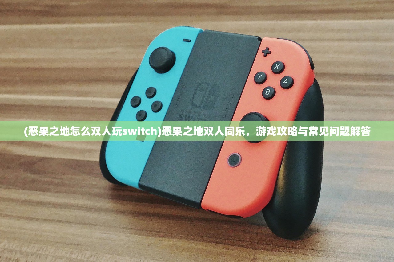 (恶果之地怎么双人玩switch)恶果之地双人同乐，游戏攻略与常见问题解答