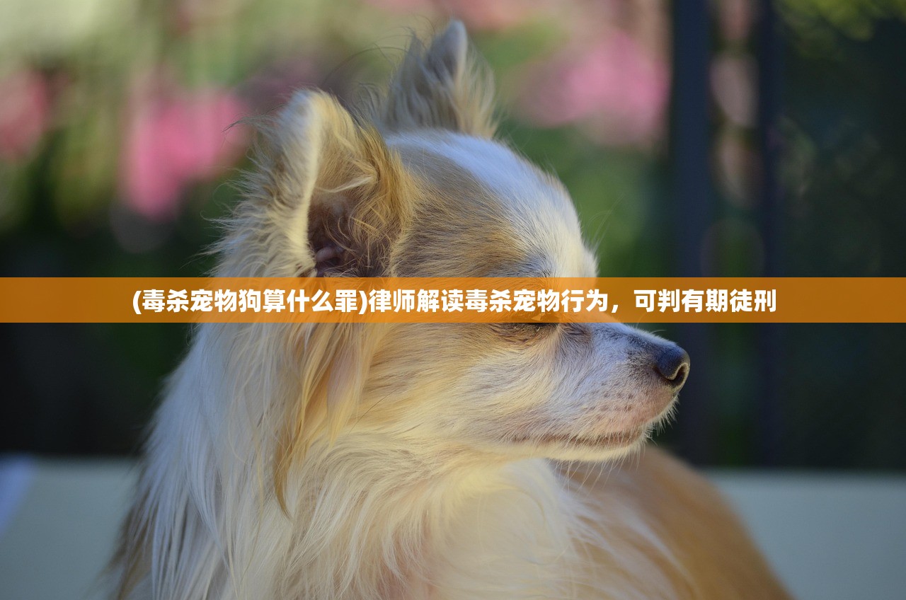 (毒杀宠物狗算什么罪)律师解读毒杀宠物行为，可判有期徒刑