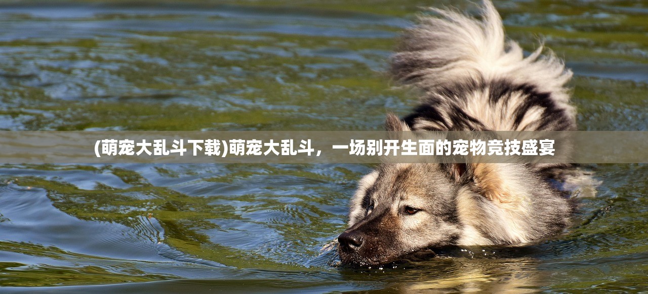 (萌宠大乱斗下载)萌宠大乱斗，一场别开生面的宠物竞技盛宴