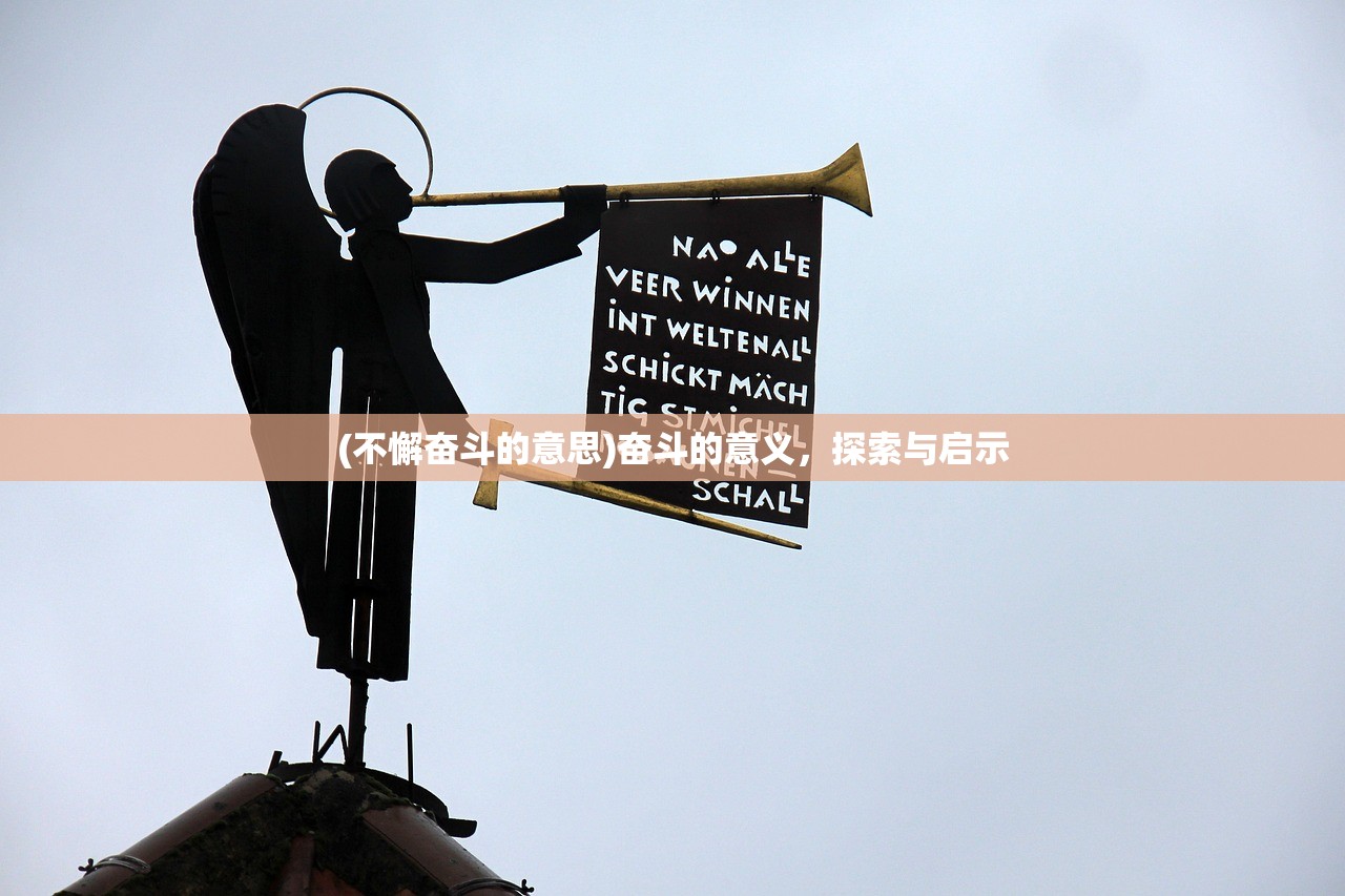 (不懈奋斗的意思)奋斗的意义，探索与启示