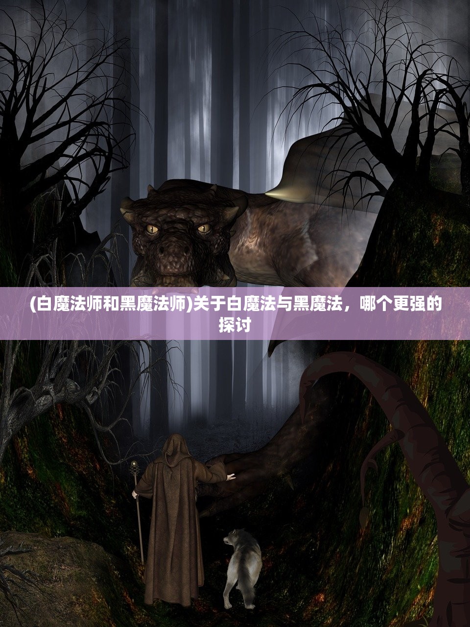 (白魔法师和黑魔法师)关于白魔法与黑魔法，哪个更强的探讨