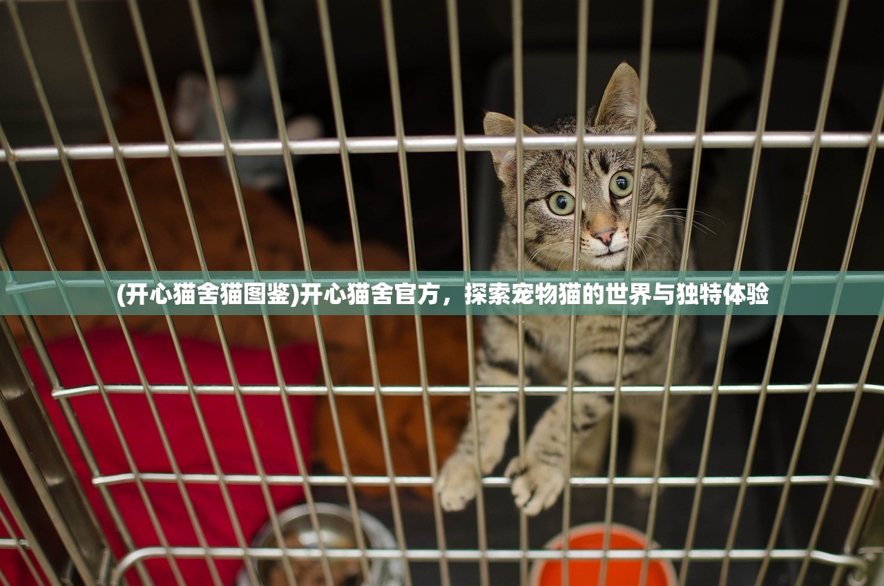 (开心猫舍猫图鉴)开心猫舍官方，探索宠物猫的世界与独特体验